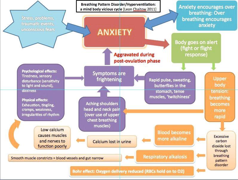 14 Kuvio 2. Breathing Pattern Disorder/Hyperventilation: a mind body vicious cycle (Chaitow, Leon 2011.Julkaistu tekijän luvalla.) Toimintahäiriön määrittely ei aina ole johdonmukaista eri aloilla.