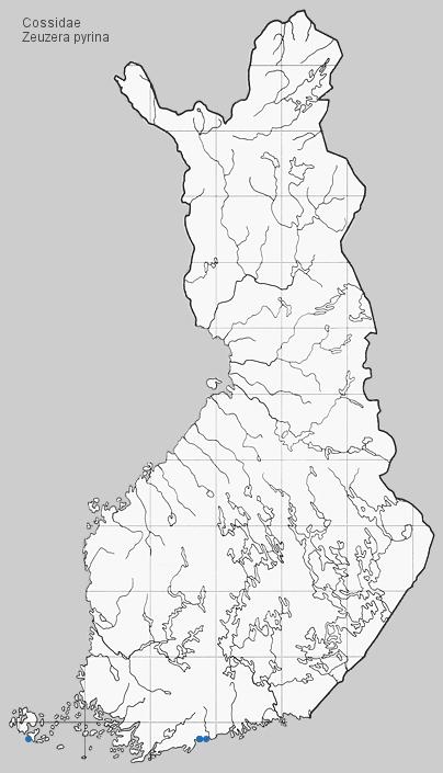 Valoisissa metsissä, pensaikoissa, puutarhoissa, puistoissa. Lepää päivällä puunrungoilla. Koiras tulee hyvin valolle, naaras harvoin.