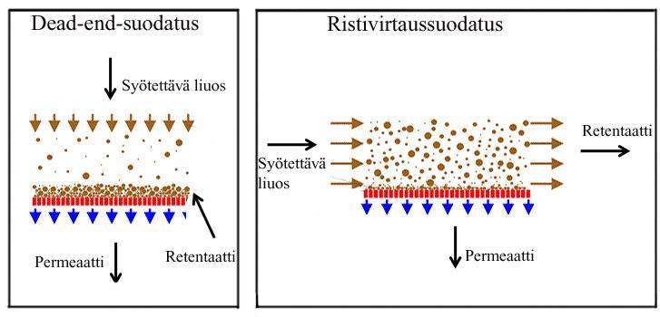 13 Kuva 5. Dead-end-suodatuksen ja ristivirtaussuodatuksen toimintaperiaate. Ristivirtausseodatuksessa kalvojen tukkeutuminen on huomattavasti vähäisempää.
