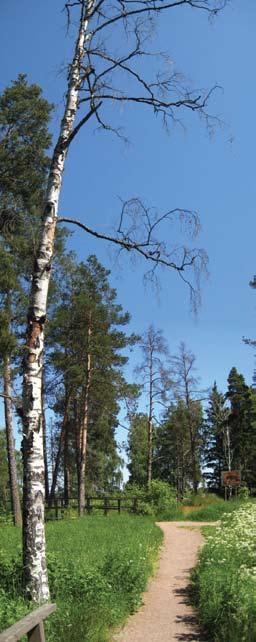 Kurkimäenpuisto - Tranbackaparken (27.) Nykytila Kokonaisuus on osa Kurkimäen kaupunginosapuistoa (YK2002), josta on korjattu viime vuosina paljon kuivuustuhoja.