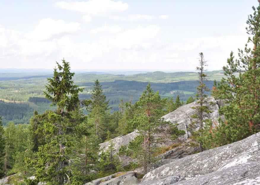 Terug naar Koli deel 3 Het Karelische landschap in schilderkunst, literatuur en muziek 48 De Kareliëreizen aan de vooravond van Finlands onafhankelijkheid hadden iets exotisch.