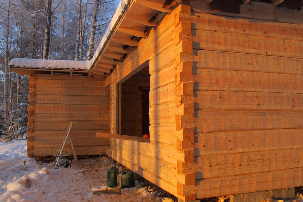 4 suuri tarkkuuden siitä kärsimättä. Nykyisillä varoilla pudotus voidaan tehdä yhdellä kertaa suurillekin puille. [3.
