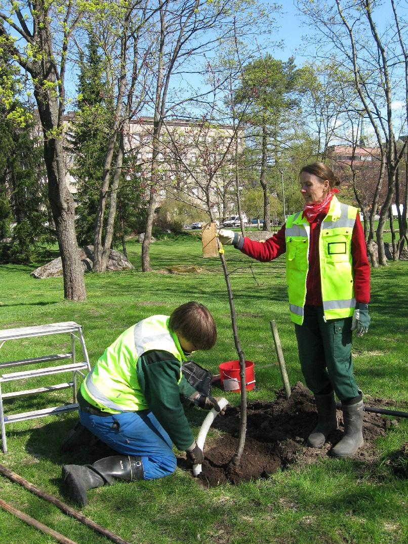 KOTKA, TOIVO PEKKASEN PUISTO ARKEOLOGINEN