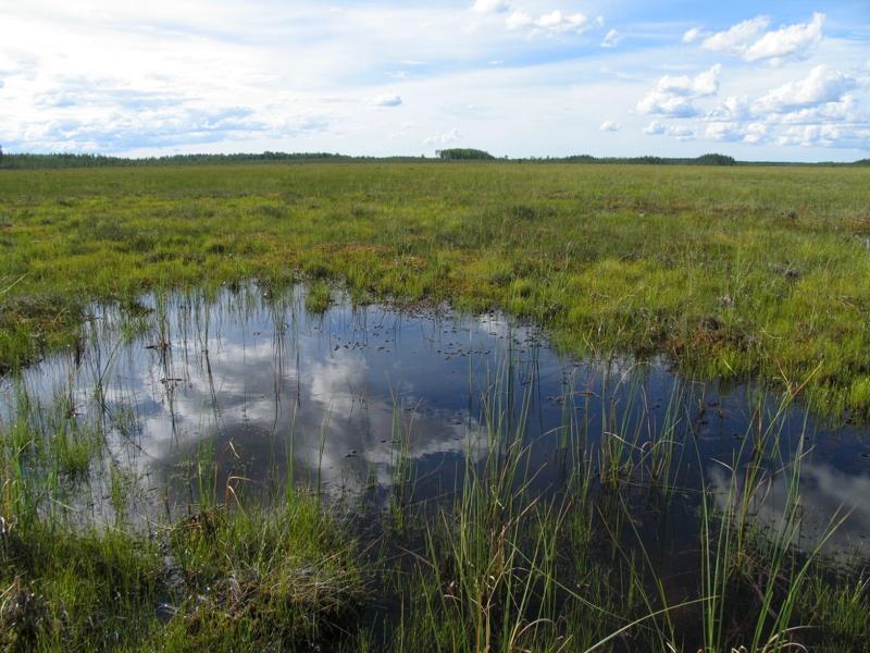 Tapaus Kivisuo, Muhos Vapo suunnittelee 760 ha turpeenkaivuualuetta, valtava jopa P-Pohjanmaalla Ympäristövaikutusten