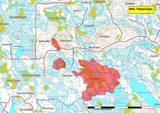 920155 Kemijärvi, Tynnyriaapa (P) (7406403:532814) 724 ha (Natura, Soidensuojeluohjelma, FINIBA) Tynnyriaavan lintualue on kolmesta erillisestä osasta muodostuva