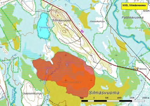 Jänkäsirriäiset ja jänkäkurpat pesivät alueella poikkeuksellisen runsaina.