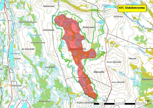 Pienvesien myötä alueella pesii kahlaajien lisäksi paljon vesilintuja, ja lajisto on jopa suokohteiden joukossa poikkeuksellisen monimuotoinen.