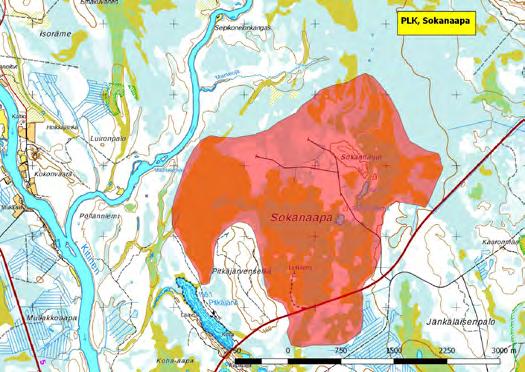 920463 Pelkosenniemi, Sokanaapa (P) (7450085:524798) 793 ha (Natura, FINIBA) Pelkosenniemi-Savukoski-tien (965) varressa sijaitseva Sokanaapa on rimpinevojen, hakkaamattomien metsäsaarekkeiden ja