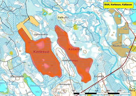 920471 Ranua, Kortesuo-Kaitasuo (P) (7318412:482704) 400 ha Kirkonkylän koillispuolella tie 942:n varressa sijaitseva lintualue on kahden hyvän lintusuon muodostama kokonaisuus.