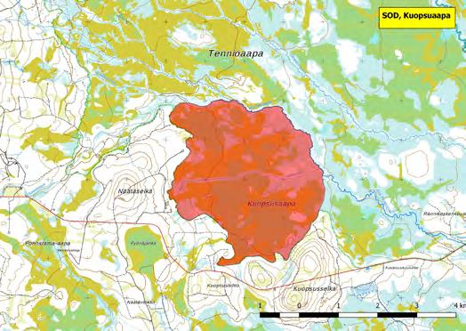 920433 Sodankylä, Kuopsusaapa (P) (7516354:477657) 1170 ha (Natura, Soidensuojeluohjelma, FINIBA) Pomokairan laajan soidensuojelualueen lounaisnurkassa sijaitseva Kuopsusaapa on suuri, tyypillinen