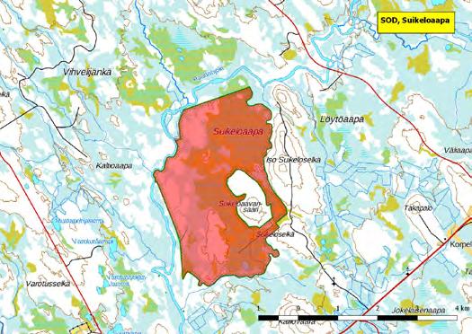 Myös metsäsaarekkeiden vanhat kuusikot ovat linnustollisesti arvokkaita.