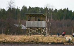 Niskanperä on yksi alueen lintuharrastajien tärkeimmistä retkikohteista monipuolisen linnustonsa ja helpon saavutettavuutensa ansiosta.