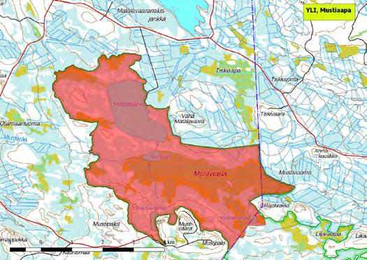 920390 Ylitornio, Mustiaapa (P) (7375250:411496) 800 ha (Natura, Soidensuojeluohjelma, FINIBA) Ylitornion ja Rovaniemen kunnanrajalla Louevaaran luoteispuolella sijaitseva Mustiaapa on laaja ja