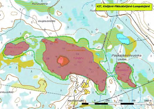 920002 Kittilä, Kivijärvi-Pikkukivijärvi-Lompolojärvi (P) (7483271:391471) 138 ha (Natura, Lintuvesiohjelma) Lintualueen kolme järveä ovat Ounasjoen sivujoen, Kallojoen latvajärviä.