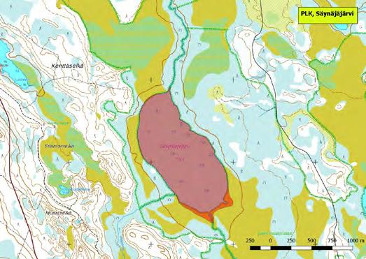 920346 Pelkosenniemi, Säynäjäjärvi (Kk,P) (7434093:533357) 97 ha (Natura, FINIBA, IBA) Kemihaaran Natura-alueella sijaitseva erämainen Säynäjäjärvi on lajistoltaan monipuolinen lintuvesi.