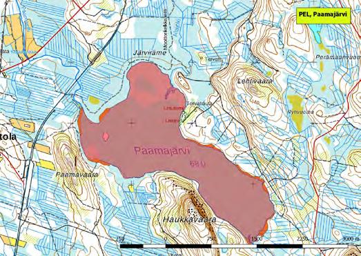 920230 Pello, Paamajärvi (P) (7394507:365681) 393 ha (Natura, Lintuvesiohjelma) Turtolan itäpuolella sijaitseva Paamajärvi arvioitiin aiemmin Lintuvesien suojeluohjelmassa valtakunnallisesti