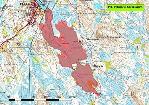 920010 Pellojärvi-Säynäjäjärvi (K,Kk,Ks,P) (7406602:368580) 630 ha (Natura, Lintuvesiohjelma, FINIBA) Kirkonkylän tuntumassa sijaitseva Pellojärvi ja siihen kapealla salmella liittyvä Säynäjäjärvi