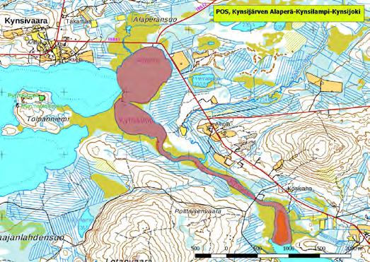 920291 Posio, Kynsijärven Alaperä-Kynsilampi-Kynsi joki (P) (7306907:563119) 260 ha Kuloharju-Jokilampi-tien eteläpuolella sijaitseva lintukohde käsittää Kynsijärven reheväkasvustoisen pohjukan