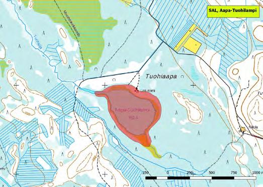 920336 Salla, Aapa-Tuohilampi (K,Kk,Ks,P) (7430700:581287) 30 ha Itä-Sallassa Tuohikylän länsipuolella sijaitseva Aapa-Tuohilampi on kosteikkolinnuston arvokas pesimäalue ja kerääntymiskohde.