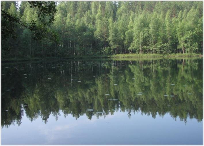Osa-alueen lintulajisto todettiin tavanomaiseksi kangasmetsien ja pihapiirien lajistoksi.