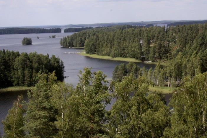 11 Kuva 3. Paimensaaren länsirantaa. Vasemmalla Hiukkanen ja taustalla näkyy Kuolimonsalmi. Kuva 4. Paimensaaren eteläpää sillan itäpuolelta. Silta kuvassa oikealla. Kuva 5.