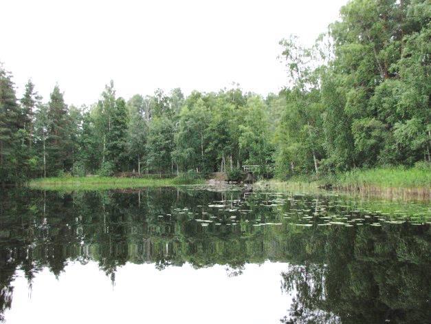 Eutrofisen salmen pohjalla kasvoi laajalti nuoraruohoa. Paimensaaren eteläosan kasvi- ja lintulajisto todettiin monipuoliseksi, mutta tavanomaiseksi.