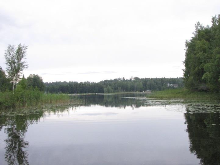 Salmen muu vesikasvilajisto indikoi eutrofiuutta. Alue on liito-oravalle soveltuvaa elinympäristöä.