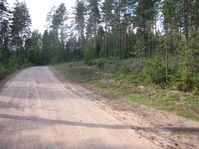 110 91. Sepänniitun itäpuoli (LIITTEET, Kartta 6.) Sepänniitun rämealueen itäpuolella paikallistien ympäristö on hietapitoista harjusoraa, paikoin hietamaata.