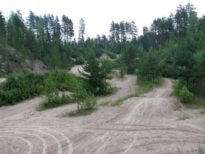 114 94. Peijonharju (LIITTEET, Kartta 6.) Peijonharju on Peijonsuon eteläpäässä oleva korkea harjualue. Maaperä on hienjakoista soraa, paikoin puhdasta hietaa.