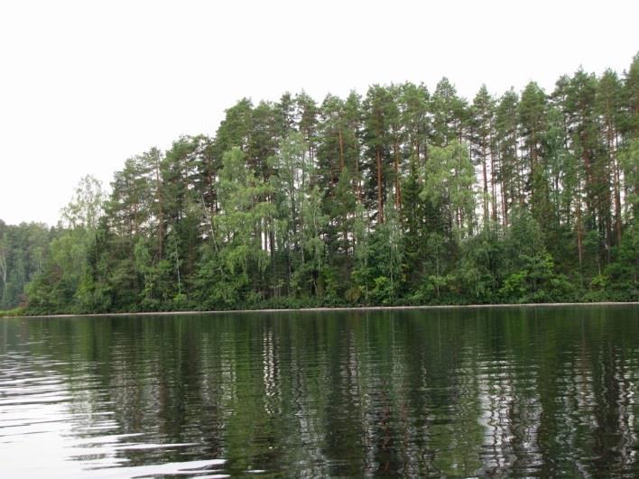 Riuttasen eteläkärjen ja mantereen välinen salmi mantereen puolelta kuvattuna. Riuttasen lounaisranta on tiiviisti rakennettu.