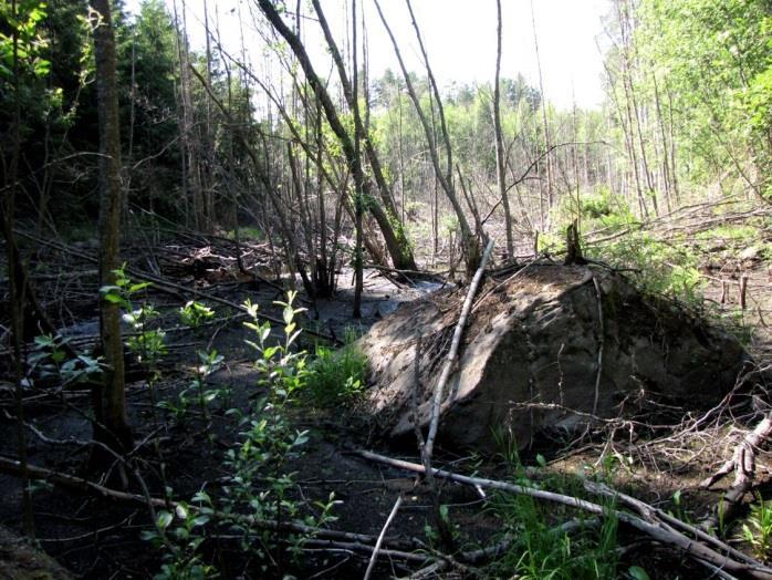 ) Kaihlajoki virtaa kallioperän murroslaaksossa.
