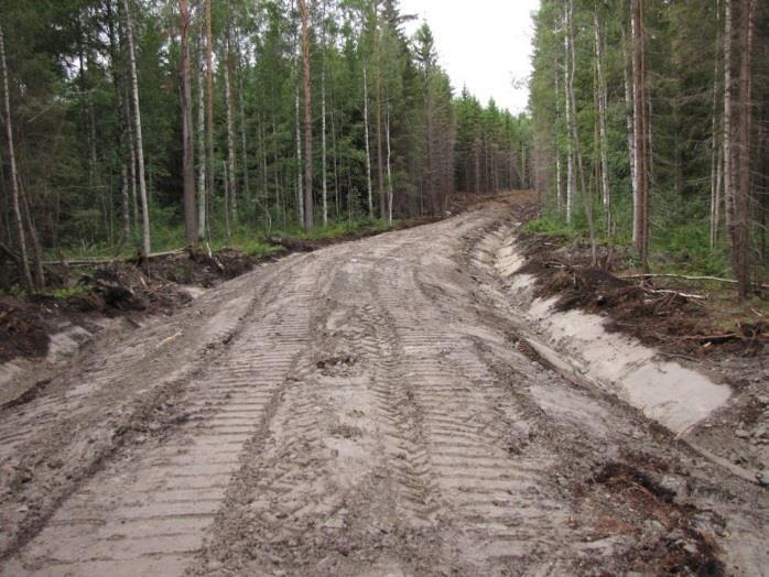 Alueella ei todettu rauhoitettuja tai uhanalaisia kasvilajeja, uhanalaisia lintulajeja tai uhanalaisille lajeille (direktiivin IV(a) lajit) soveltuvia elinympäristöjä, muita luontoarvoja tai