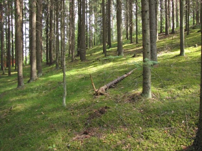 31 22. Parosilta (LIITTEET, Kartta 3.) Parosillan osa-alue on kokonaisuudessaan reheväkasvuista sedimenttialuetta (hiekkaa ja hietaa).