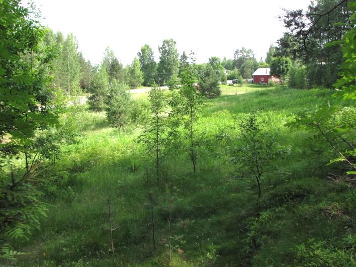 Koillisessa profiili on jyrkempi sedimenttipeitteisten kalliomäkien vuoksi, kaakossa sedimenttimaa nousee melko loivasti Leväsentien kaakkoispuolelle aina harjujakson juurelle
