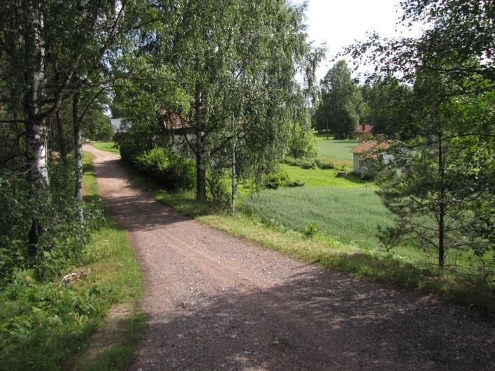 41 Kuva 83. Petyntien länsipään maisemaa. Kuvattu Lappeenranta-Mikkeli valtatieltä. Kuva 84. Pohjasuo valtatien itäpuolella on pääosin raivattu viljelymaaksi. Suositus.