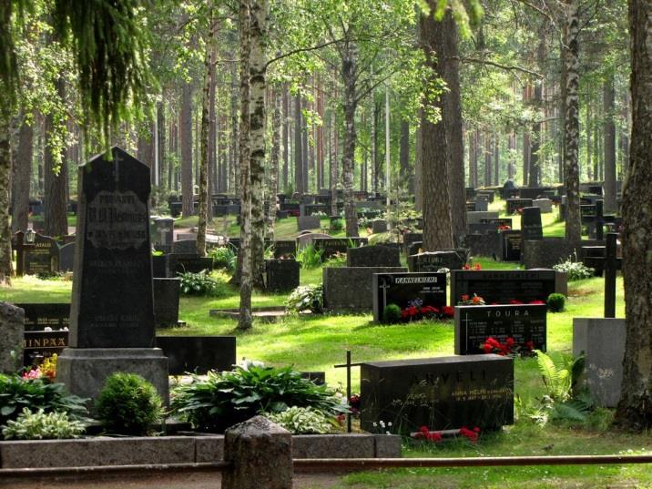 46 alueella on mahdollista, mutta avohakkuita ja maanmuokkausta alueella tulisi välttää. Alueella ei todettu uhanalaisille lajeille (direktiivin IV(a) lajit) soveltuvia elinympäristöjä. 34.