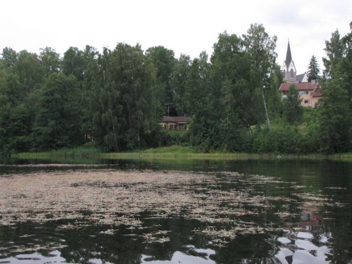 pihapiirit ulottuvat paikoin