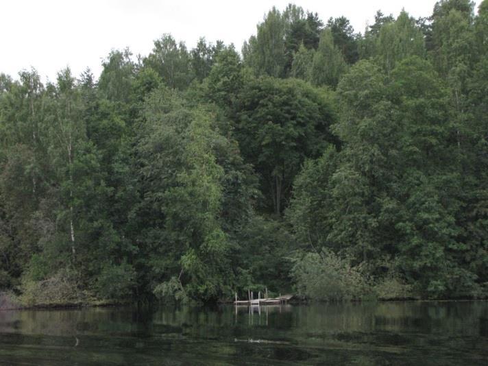 vesilintulajin ohella viihtyvät