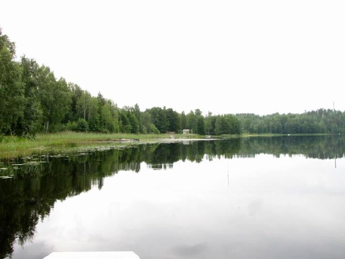 Kaijanlahden länsirannan tulvametsikkö.