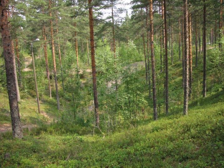 Koulun pohjoispuolen laaja ja syvä suppa on maisemallisesti merkittävä, jonka vuoksi se tulisi jättää nykytilaansa.