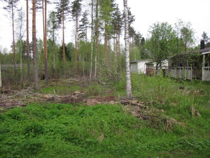 Suurin osa alueesta on katuverkkoa, puutarhoja ja joutomaalaikkuja ja muistuttaa mosaiikkimaisuudessaan tyypillistä kaupunkiluonnon biotooppirakennetta.