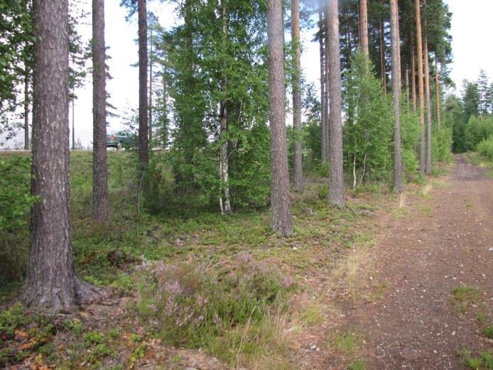 Lajille ei suosituksia, koska kaikki todetut reviirit (LIITTEET, Kartat 5. ja 6.), todettiin hakkuuaukealla, taimikossa tai talousmetsässä. Suositus.