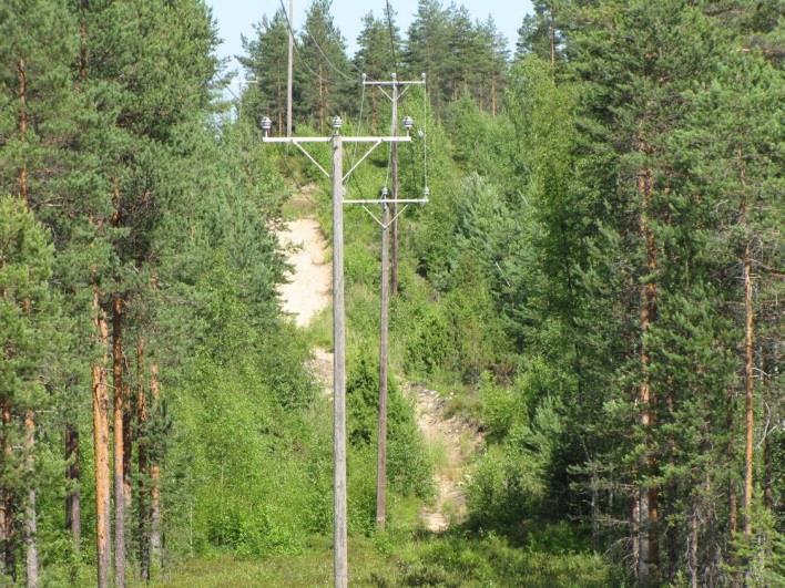 Kumpareiden ja deltan reunojen maaperä on hietapitoista harjusoraa, alavat alueet ovat puolestaan hietasedimenttien peitossa. Paikoin kumpareet ovat kokonaan hietakerroksen peittämiä (Kuva 127.).