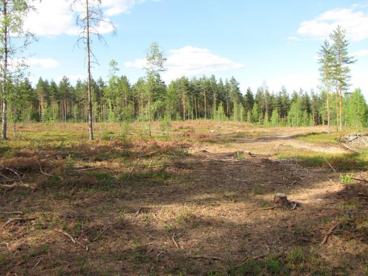 Salmensilta (LIITTEET, Kartta 5.) Salmensilta on etelään viettävää deltan lakialuetta suunnittelualueen eteläreunassa. Osa-alue on hietapitoista harjusoraa.
