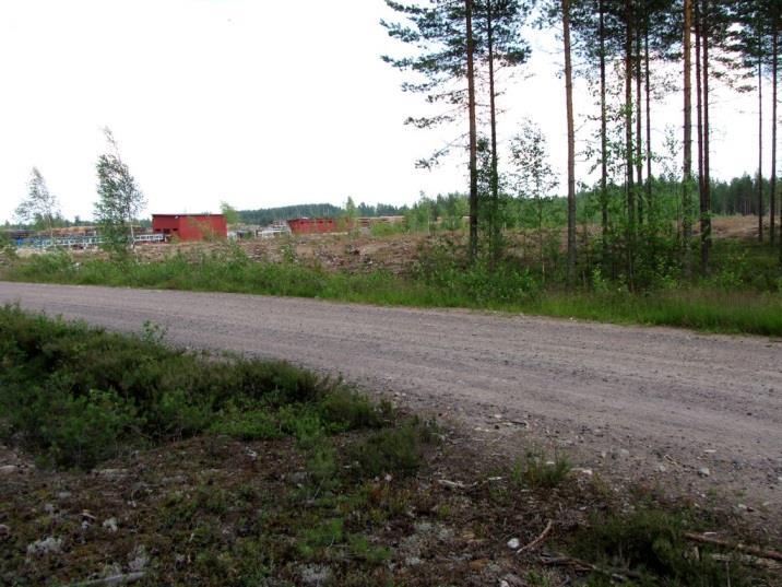 67 käkikoiras kukkumassa ja saharakennusten yllä todettiin säännöllisesti saalistavia räystäspääskyjä, jotka ilmeisesti pesivät sahan rakennuksissa. Suositus.