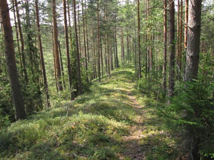 Piklammen osa-alue rajautuu ympäröivään Selkäkankaaseen sekä keskustasta Leukuuseen menevään maantiehen, jonka länsipuolella ovat samaan sedimenttialtaaseen kuuluvat Myllylampi, Särkilampi ja
