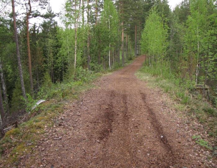 kapeampi ja rajautuu jyrkästi lammen