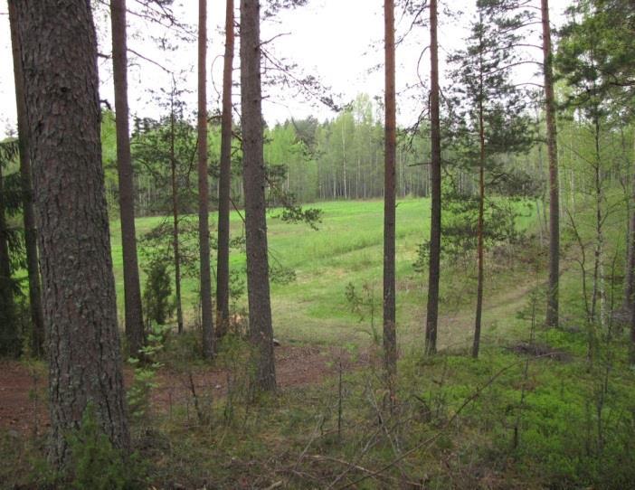 Myllylammen etelärantaa kiertävälle harjulle on