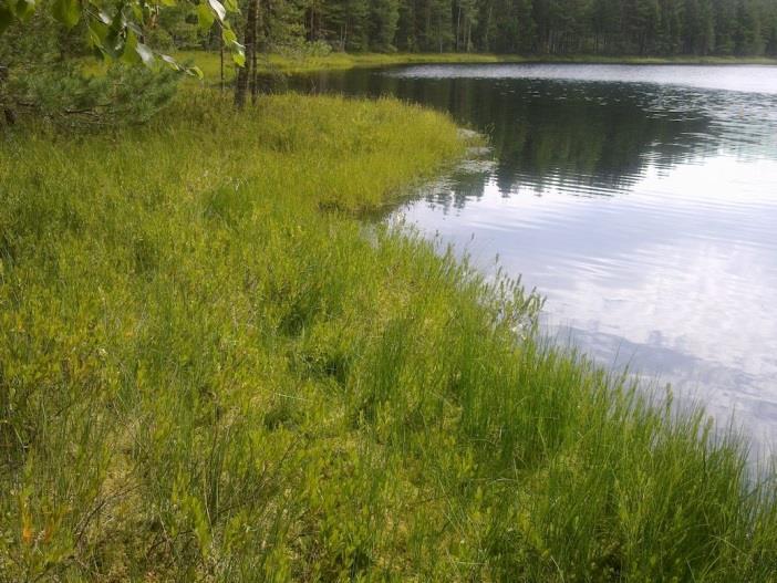74 58. Hullaslampi ympäristöineen (LIITTEET, Kartta 5.) Hullaslammen osa-alue on Selkäkankaan deltan proksimaalipuolella olevaa hietasedimenttilaaksoa.
