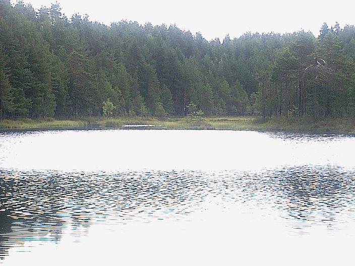 Hullaslampi ja sitä ympäröivä räme sekä lammen pohjoisrannan harjujakso rämeineen muodostavat maisemallisesti merkittävän kokonaisuuden. Kuva 152.